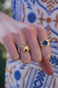 Anillo Pez AN27 - The Nook Store