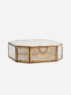 Joyero Palm - The Nook Store