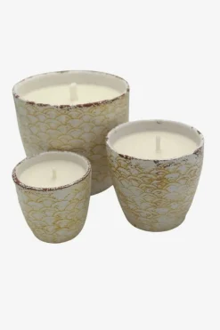 Vela garden citronella amarilla - The Nook Store